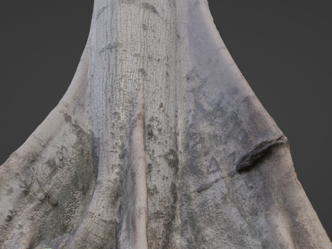 Tree Gaint 3D 모델