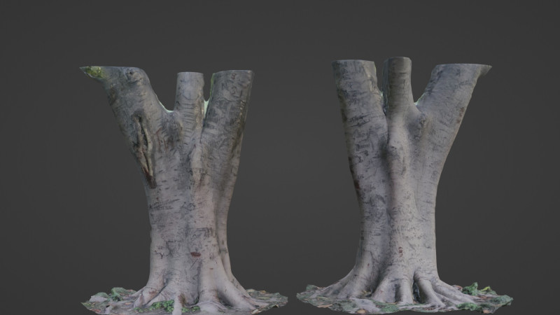 Tree scanned 3Dモデル .c4d .max .obj .3ds .fbx .stl .blend 