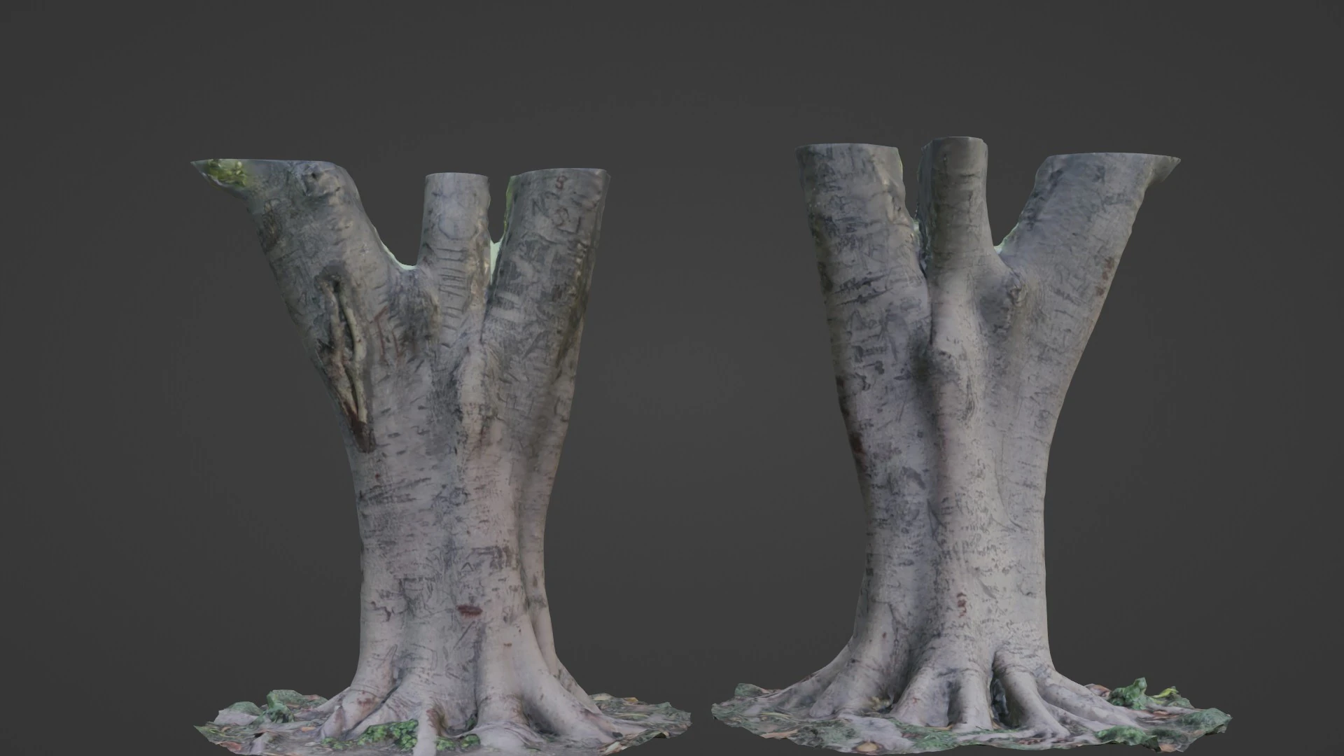 Tree scanned 3D Model .c4d .max .obj .3ds .fbx .stl .blend