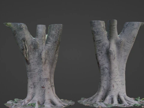 Дерево отсканировано 3D Модель