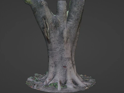 Tree scanned 3D Model