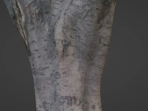 Tree scanned 3D Model