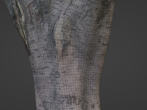 Tree scanned 3Dモデル