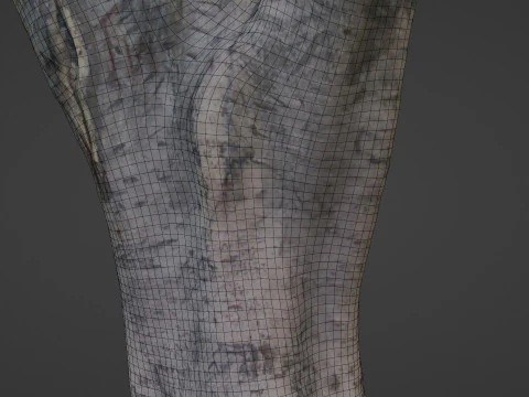 Tree scanned 3D Model