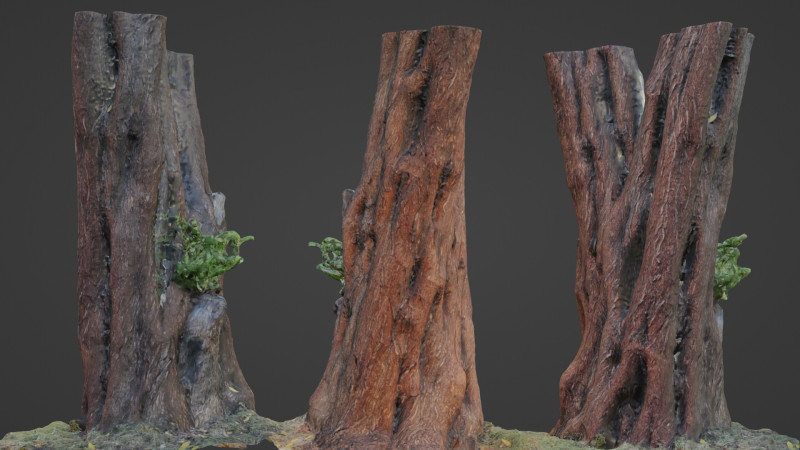 Tree 3D 模型 .c4d .max .obj .3ds .fbx .stl .blend