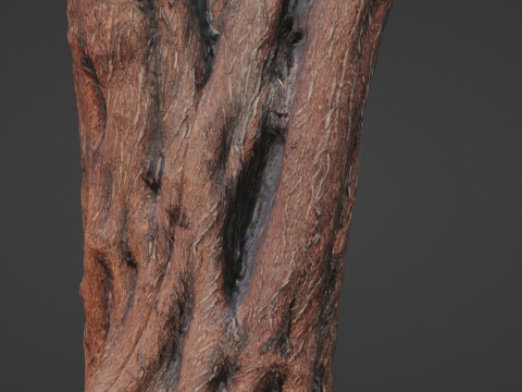 Tree 3D 模型