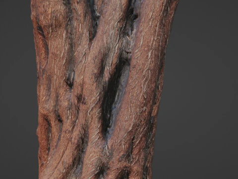 Tree 3D Model