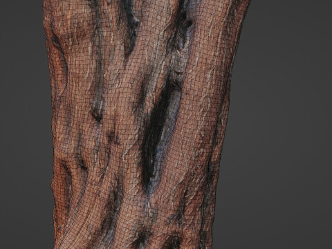 Tree 3D 模型