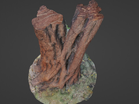 Tree 3D 模型