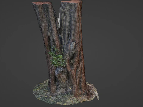 Tree 3D Model