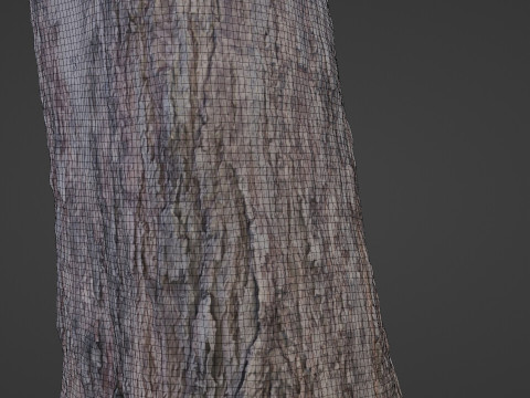 Trunk scan 3D Model