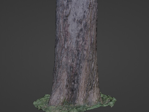 Trunk scan 3D Model
