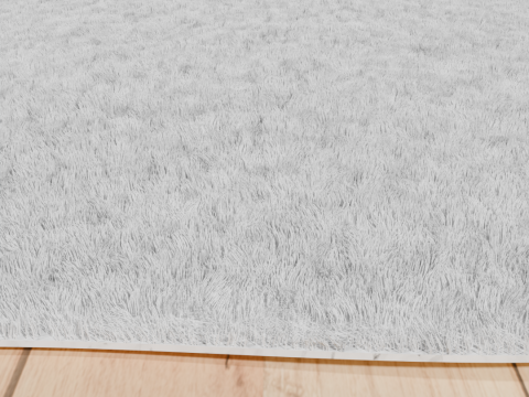 Carpet 02 3D 모델