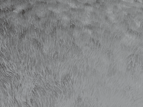 Carpet 02 3D 모델
