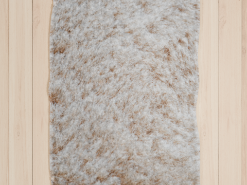 Carpet 04 Model 3D