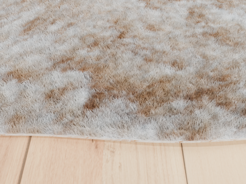 Carpet 04 Model 3D