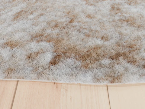 Carpet 04 3D Model