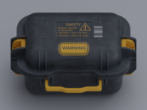 Weapon Case Model 3D