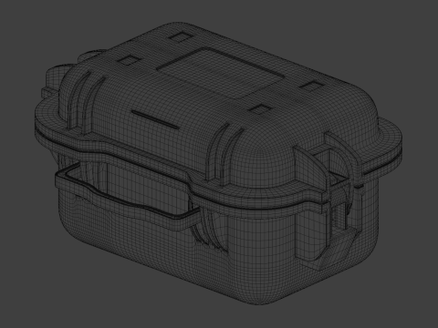 Weapon Case Model 3D