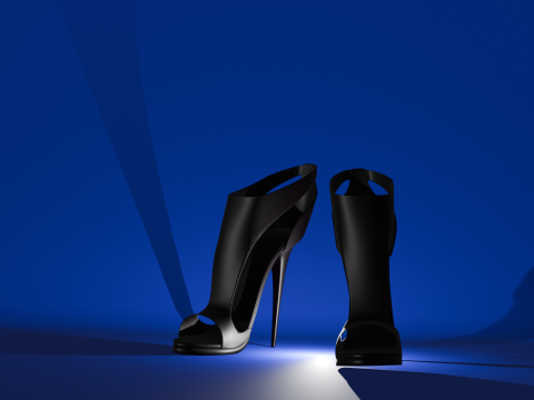 WOMENS SHOES 3D Модель