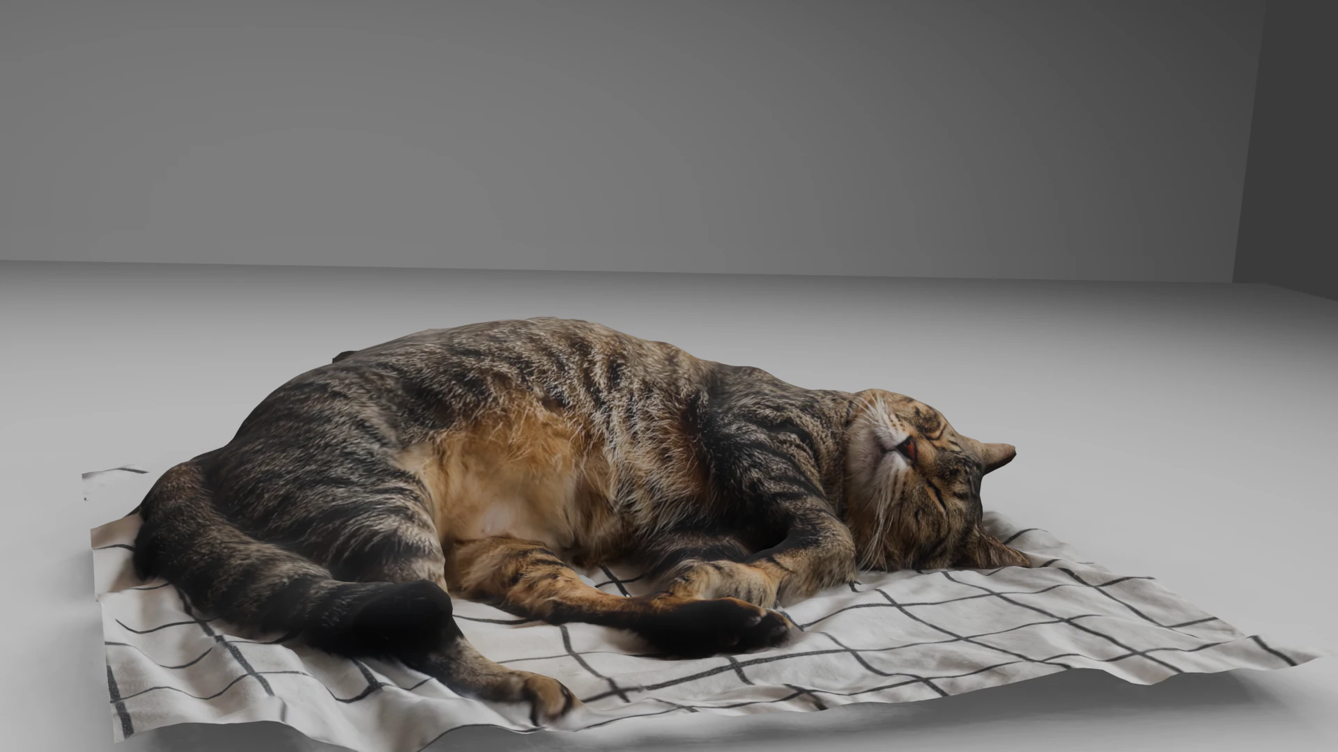 Cat 3D Model .c4d .max .obj .3ds .fbx .stl .blend