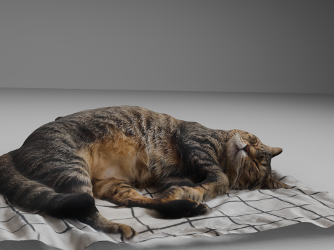 Cat 3D Модель