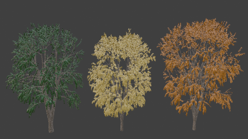 Beech Tree 3Dモデル .c4d .max .obj .3ds .fbx .stl .blend