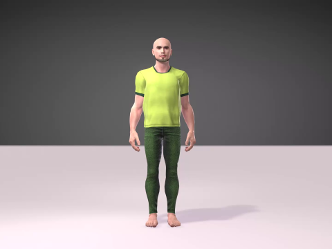 Independence Day of Pakistan with Salman Model 3D