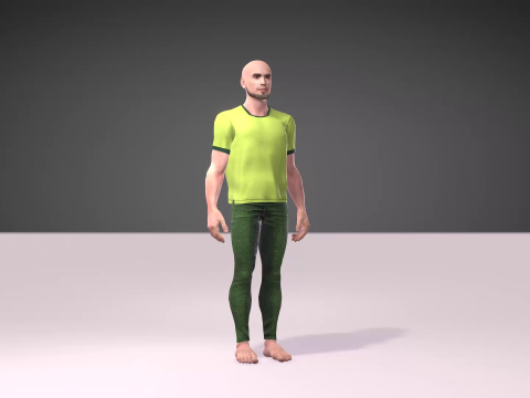 Independence Day of Pakistan with Salman Model 3D
