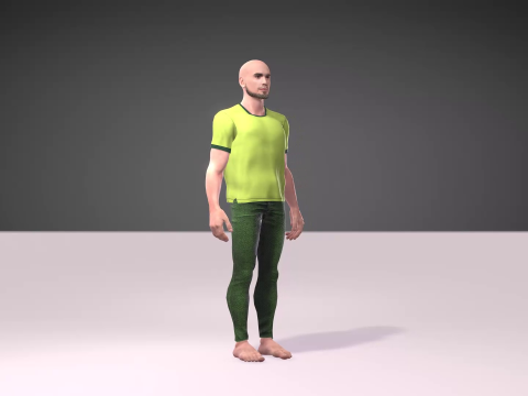 Independence Day of Pakistan with Salman Model 3D