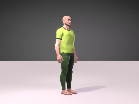 Independence Day of Pakistan with Salman Model 3D