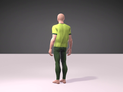 Independence Day of Pakistan with Salman Model 3D