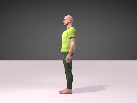 Independence Day of Pakistan with Salman Model 3D