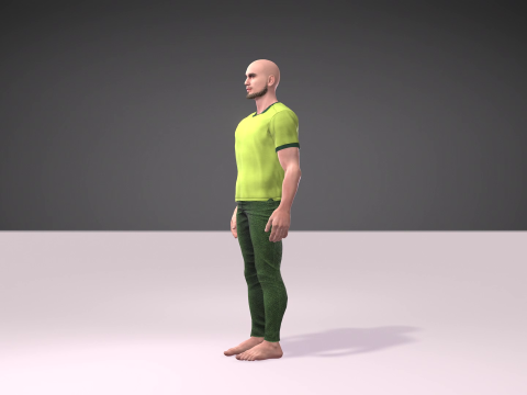 Independence Day of Pakistan with Salman Model 3D