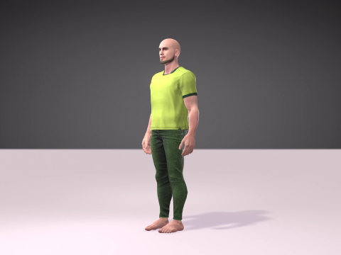 Independence Day of Pakistan with Salman Model 3D