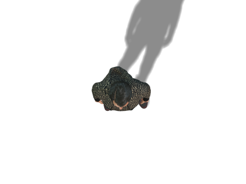 3D Male Character Model - Fashion Style Modelo 3D