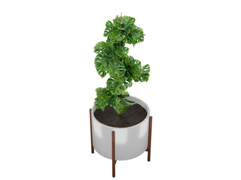 Indoor plant 3D 모델
