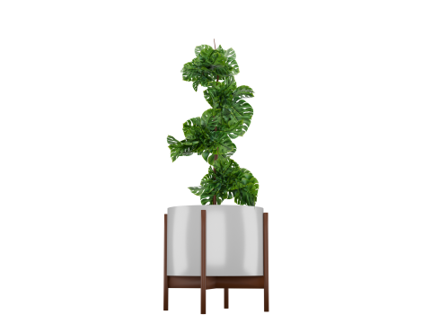 Indoor plant 3D 모델