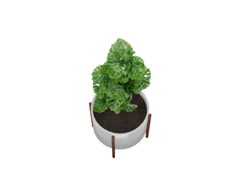 Indoor plant 3D 모델