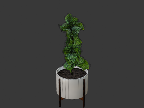 Indoor plant 3D 모델