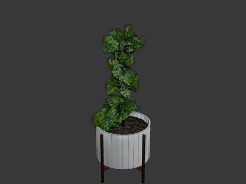 Indoor plant 3D 모델