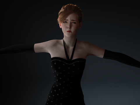 Stunning 3D Glamorous Evening Woman High Fashion Character Model 3D Model