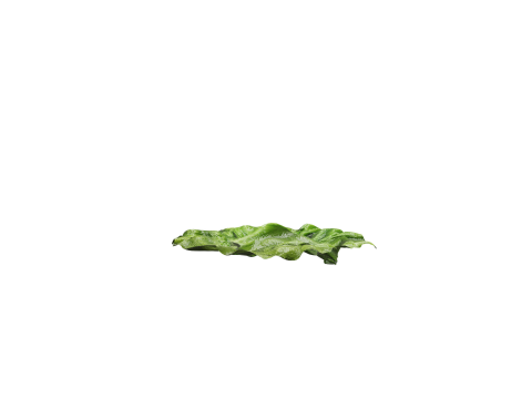 Cheeseburger 3D Model