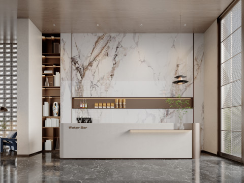 Reception lobby Interior scene53 Model 3D
