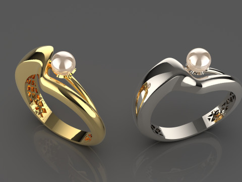 A100-12-ring 3D Print Model