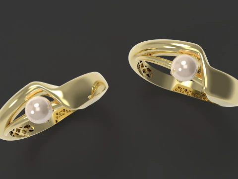 A100-12-ring 3D Print Model