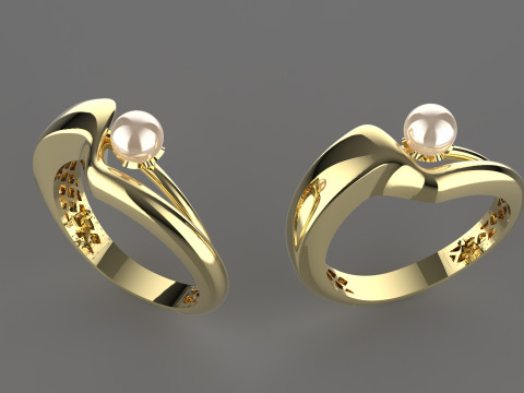 A100-12-ring 3D Druckmodell