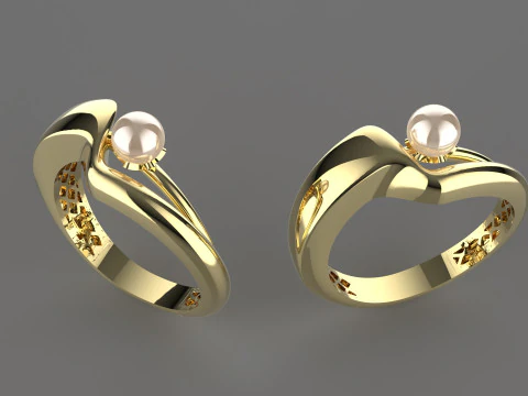 A100-12-ring 3D Print Model