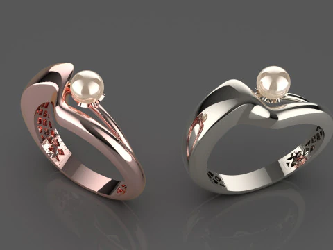 A100-12-ring 3D Print Model