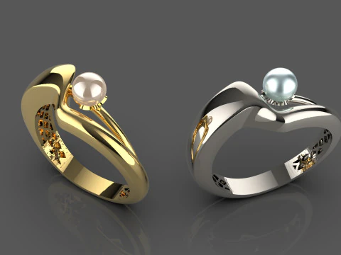 A100-12-ring 3D Print Model